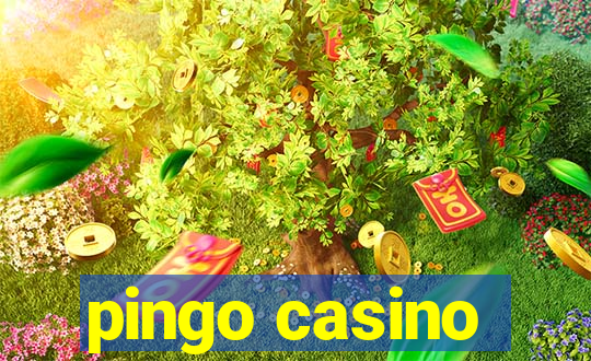 pingo casino