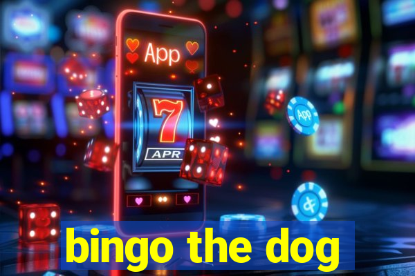 bingo the dog