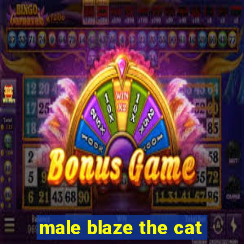 male blaze the cat