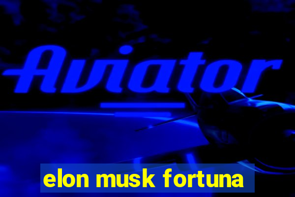 elon musk fortuna