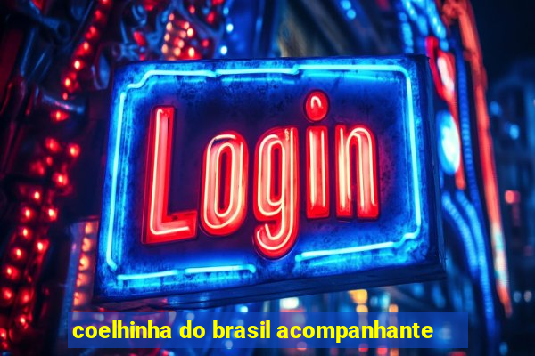 coelhinha do brasil acompanhante