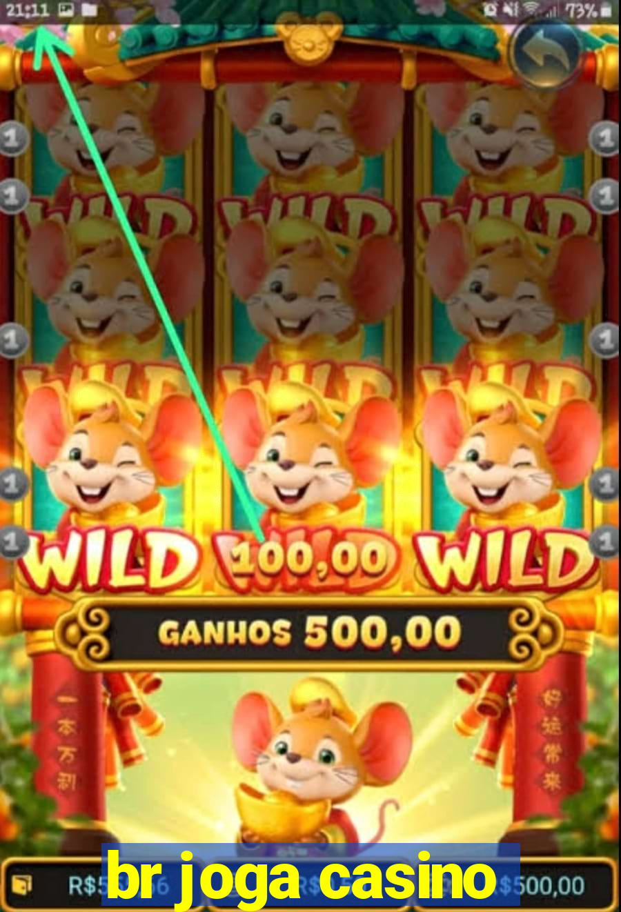 br joga casino