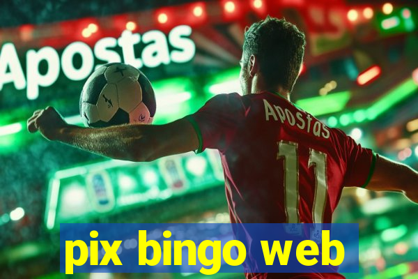 pix bingo web