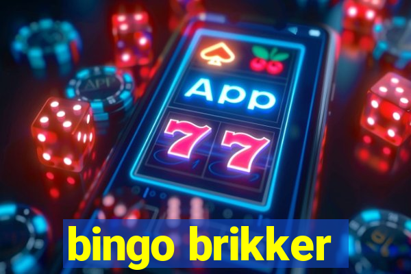 bingo brikker