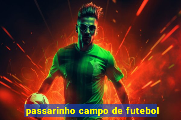 passarinho campo de futebol