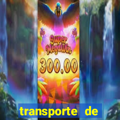 transporte de passageiros são jerônimo