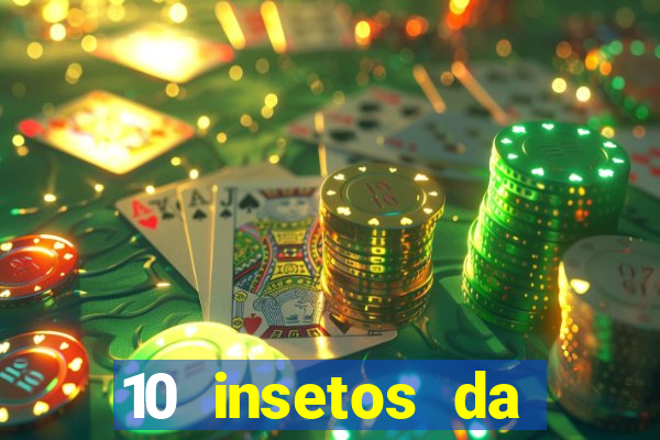 10 insetos da região sudeste