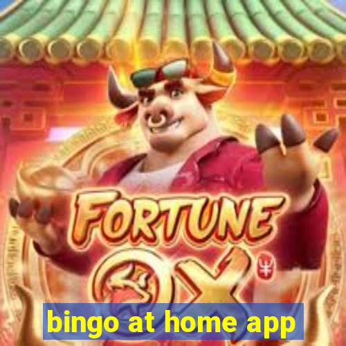 bingo at home app