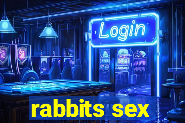 rabbits sex