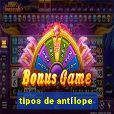 tipos de antílope