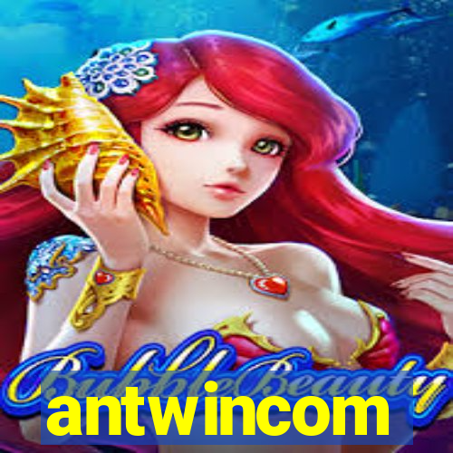 antwincom