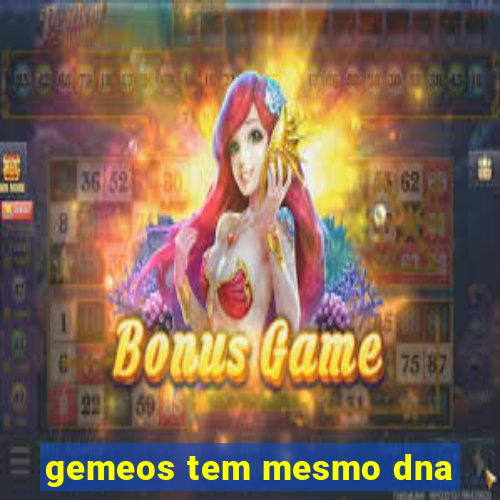 gemeos tem mesmo dna