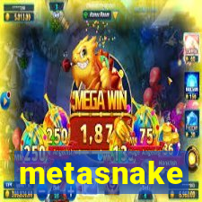 metasnake