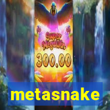 metasnake