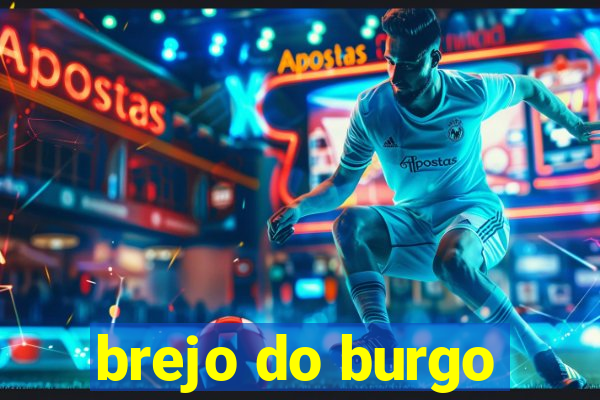 brejo do burgo