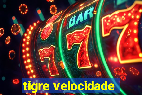 tigre velocidade