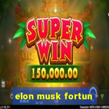 elon musk fortun