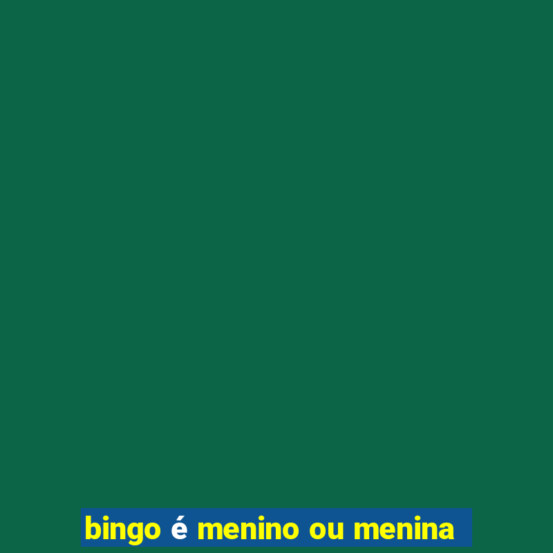 bingo é menino ou menina