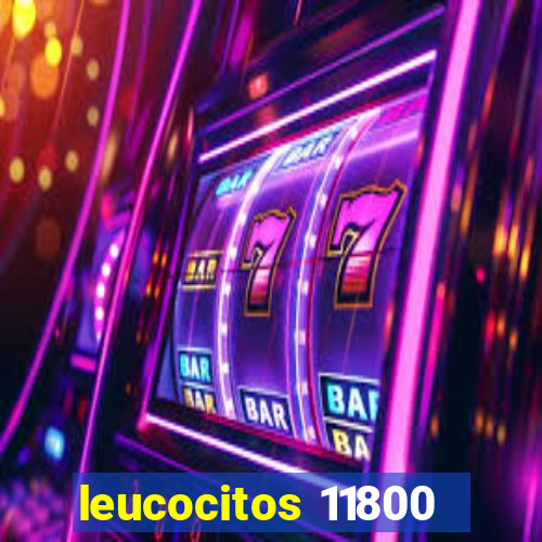 leucocitos 11800