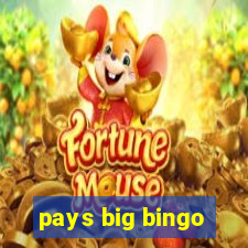 pays big bingo