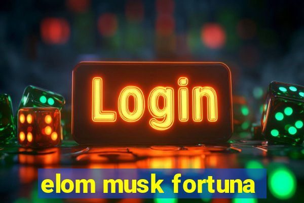 elom musk fortuna