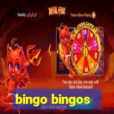 bingo bingos