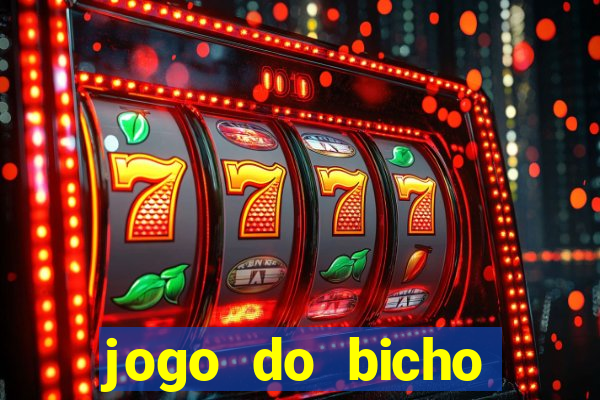 jogo do bicho aposta certa