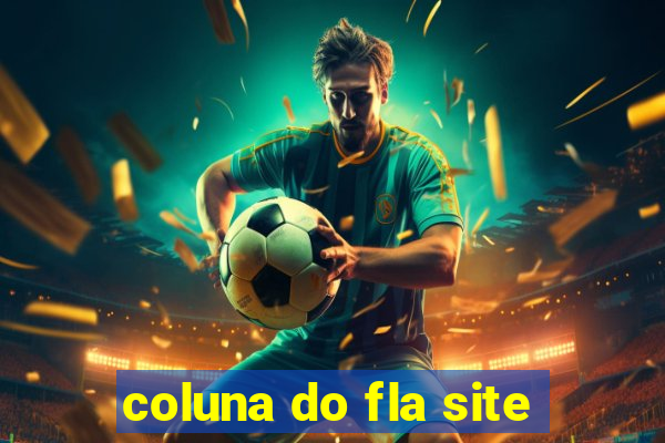 coluna do fla site