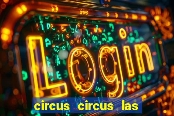 circus circus las vegas hotel and casino