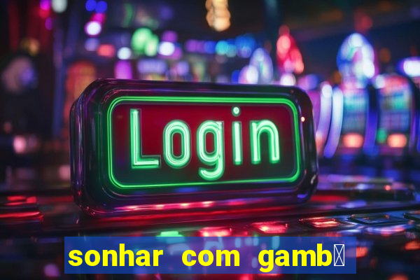 sonhar com gamb谩 jogo do bicho