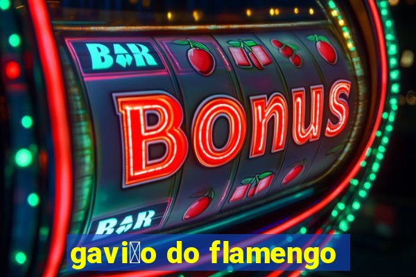 gavi茫o do flamengo