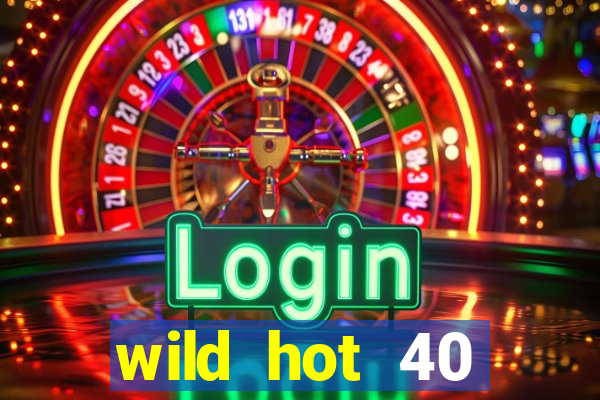 wild hot 40 christmas slot