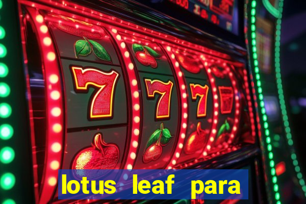 lotus leaf para que serve