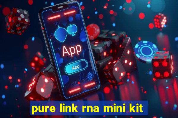 pure link rna mini kit