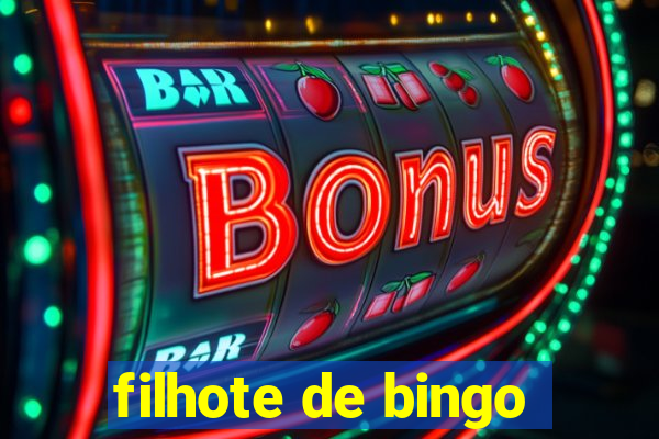 filhote de bingo