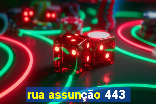 rua assunção 443