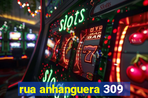 rua anhanguera 309