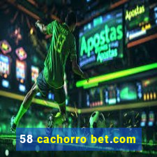 58 cachorro bet.com