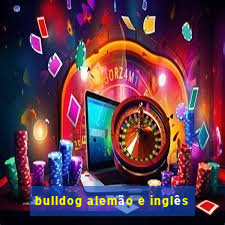 bulldog alemão e inglês