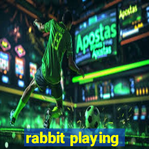 rabbit playing