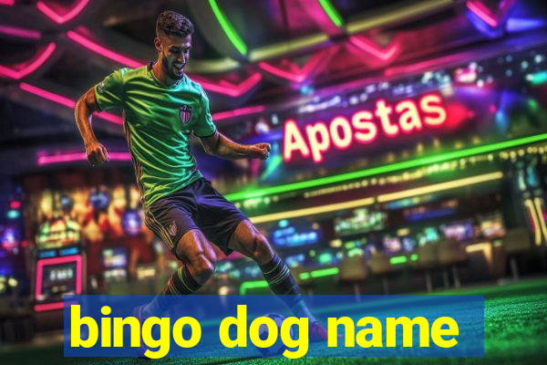 bingo dog name