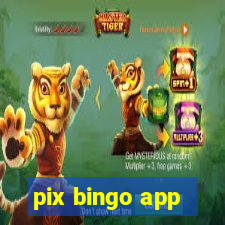 pix bingo app