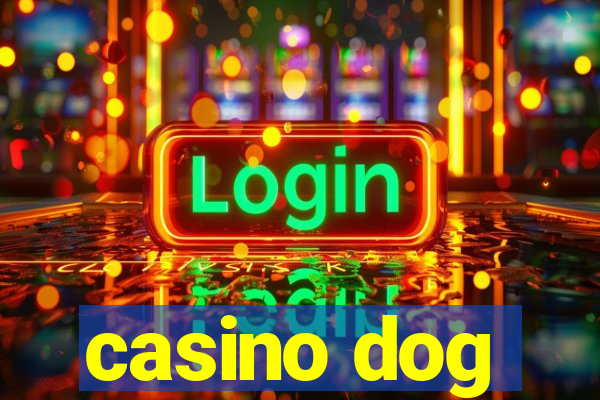 casino dog