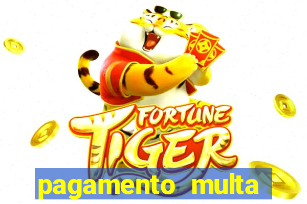 pagamento multa detran mg