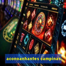 aconoanhantes campinas