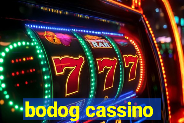 bodog cassino