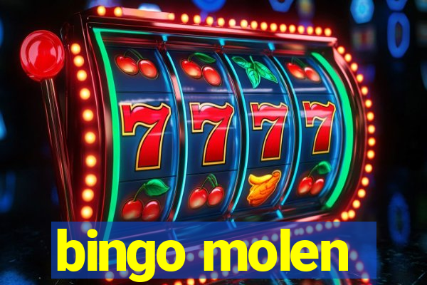 bingo molen