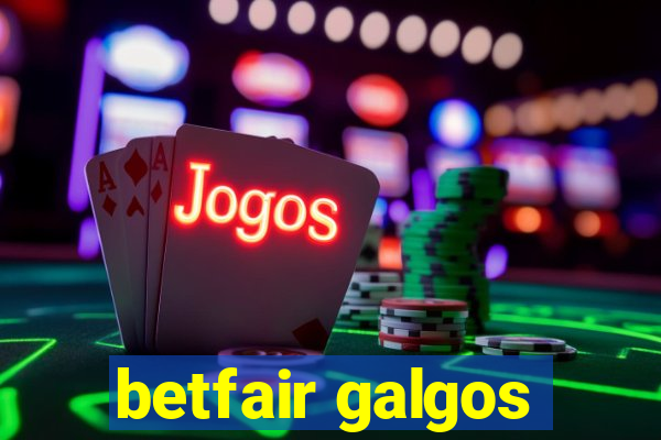 betfair galgos