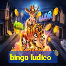 bingo ludico