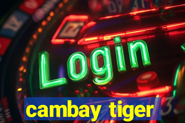 cambay tiger